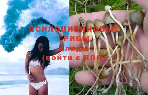 твердый Магас