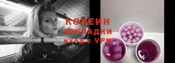 твердый Магас