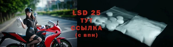 твердый Магас