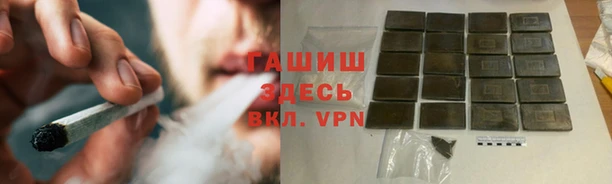 твердый Магас