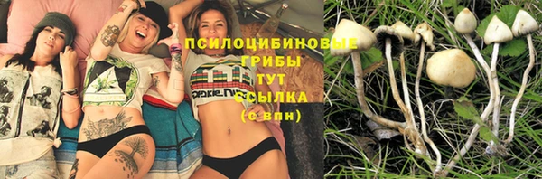apvp Майский