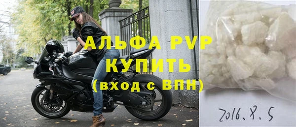 твердый Магас