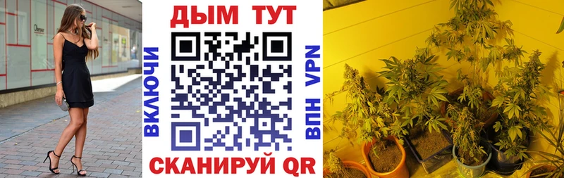 Бошки марихуана Bruce Banner Альметьевск